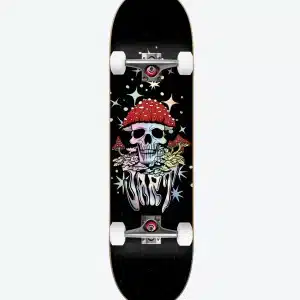 Jart Hoffman 7.75" Complete Skateboard