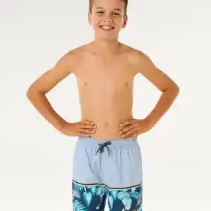 Streamline Stripe Volley Boardshort - Kids
